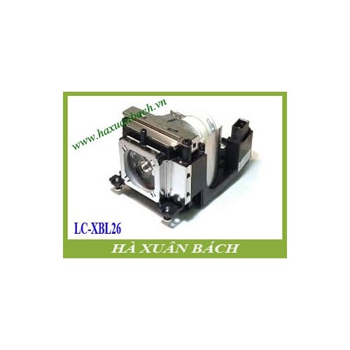 VN135A6-180503-657.jpg