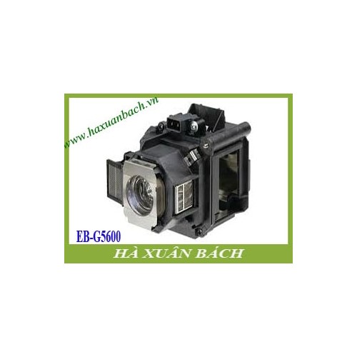 VN135A6-180503-773.jpg