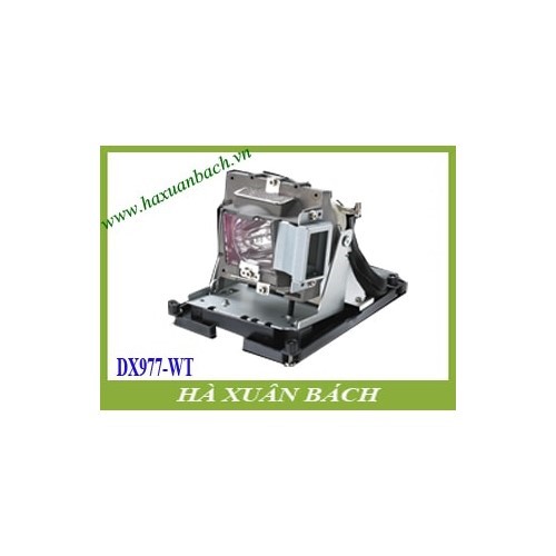 VN135A6-180503-2746.jpg