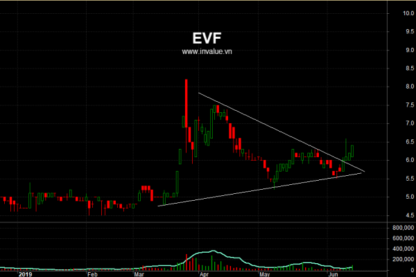 EVF.png