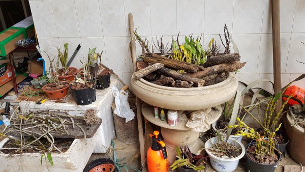 20190222_113801.jpg