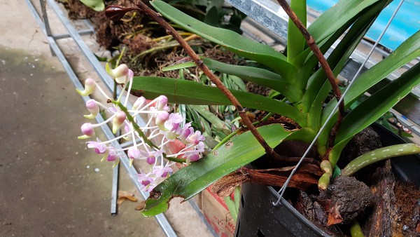 20190529_170622.jpg