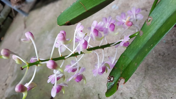 20190529_171528.jpg