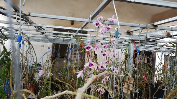 20190616_071342.jpg